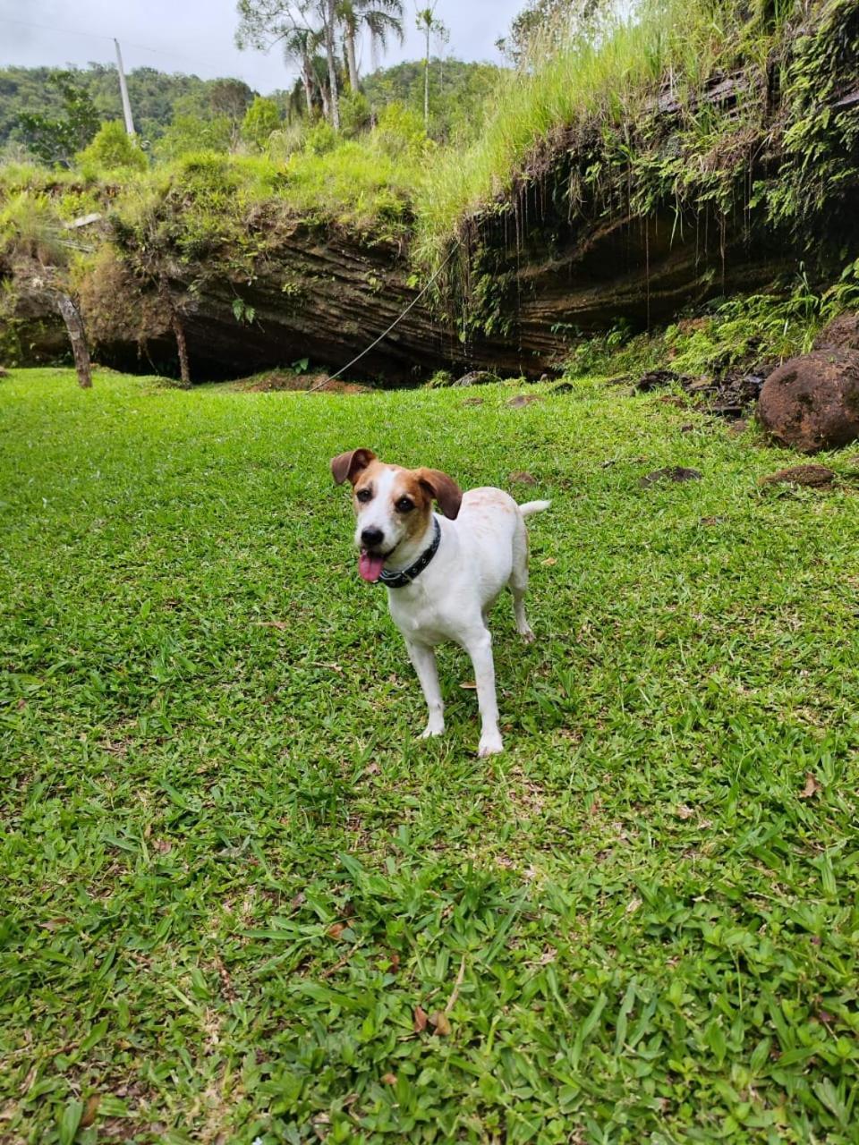 プライア・グランデ Morada Da Pedraヴィラ エクステリア 写真